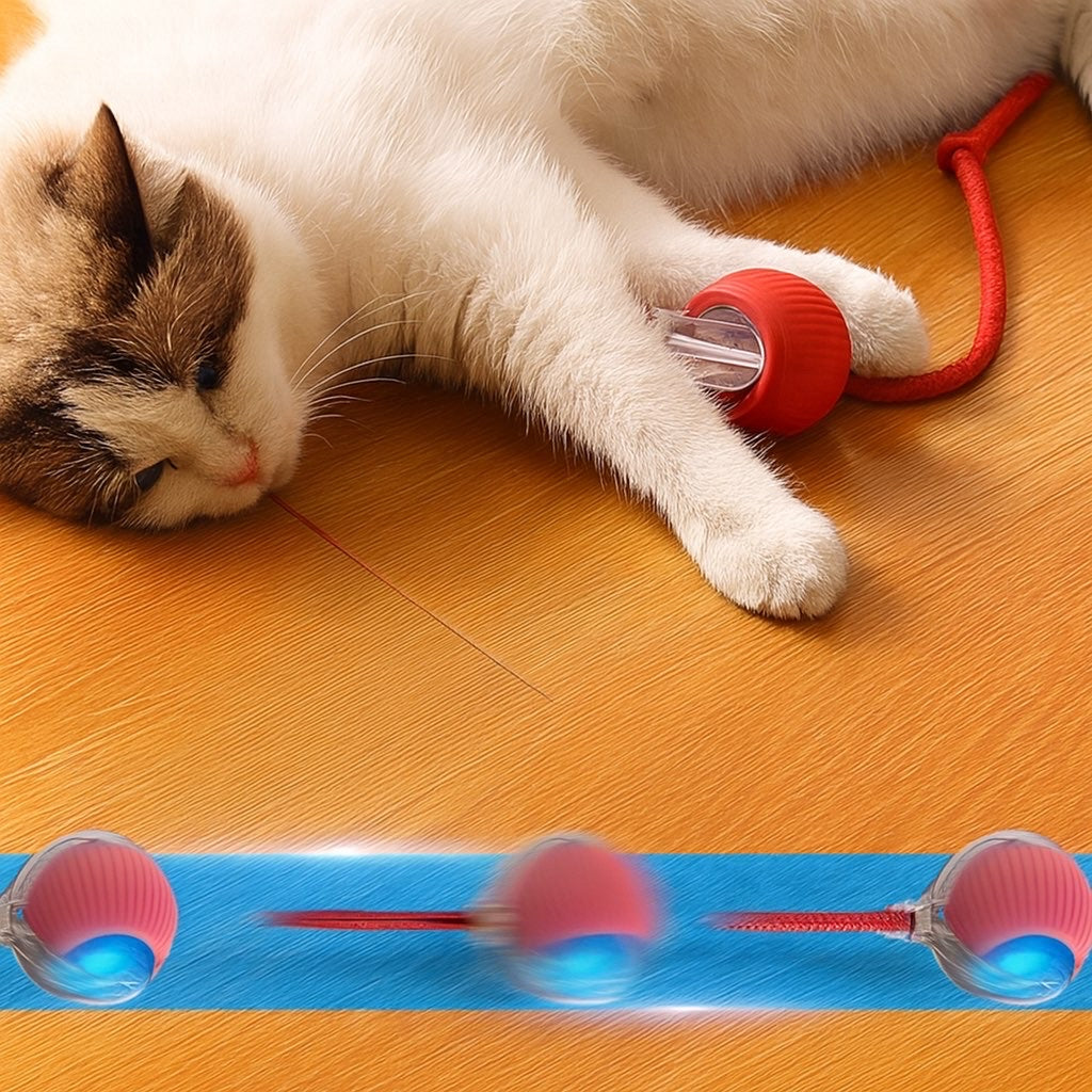 PetHaven™ Smart Moving Pet Toy