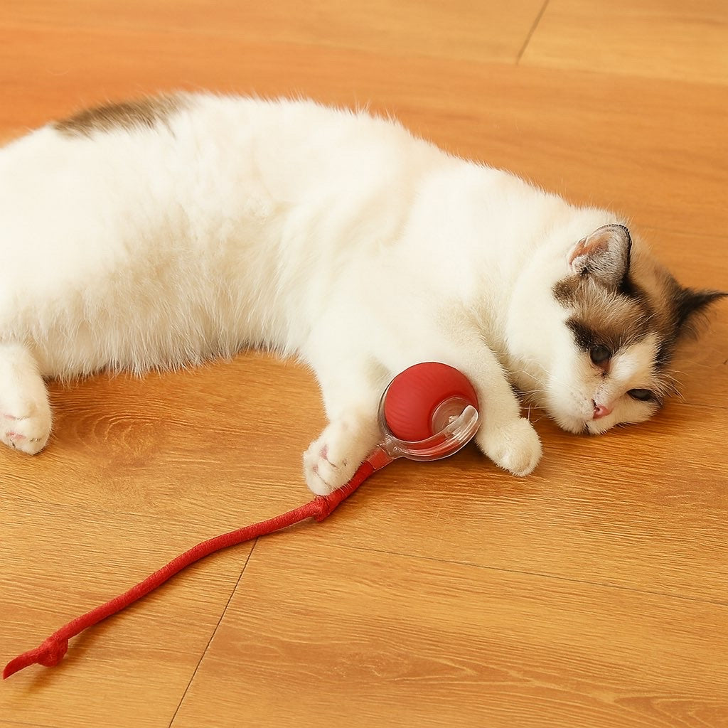 PetHaven™ Smart Moving Pet Toy