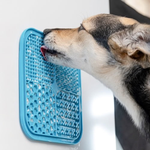 PetHaven™ Slow Feeder Lick Mat