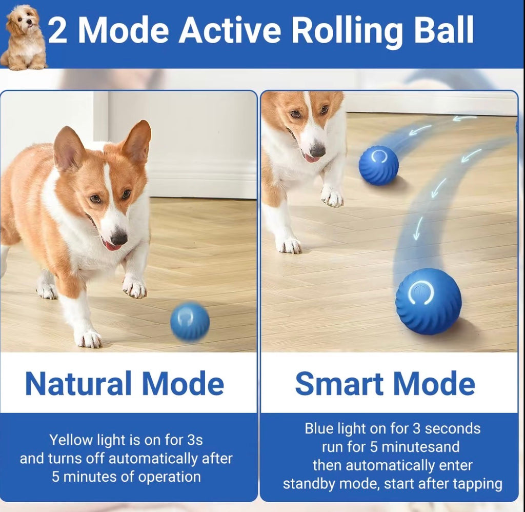 The Ball That Plays Back™