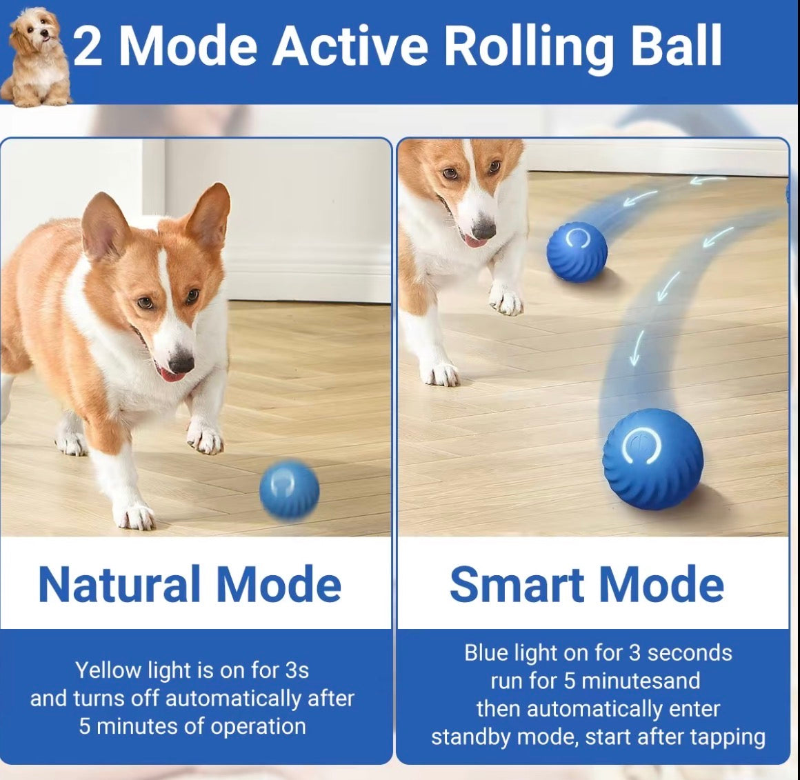 The Ball That Plays Back™