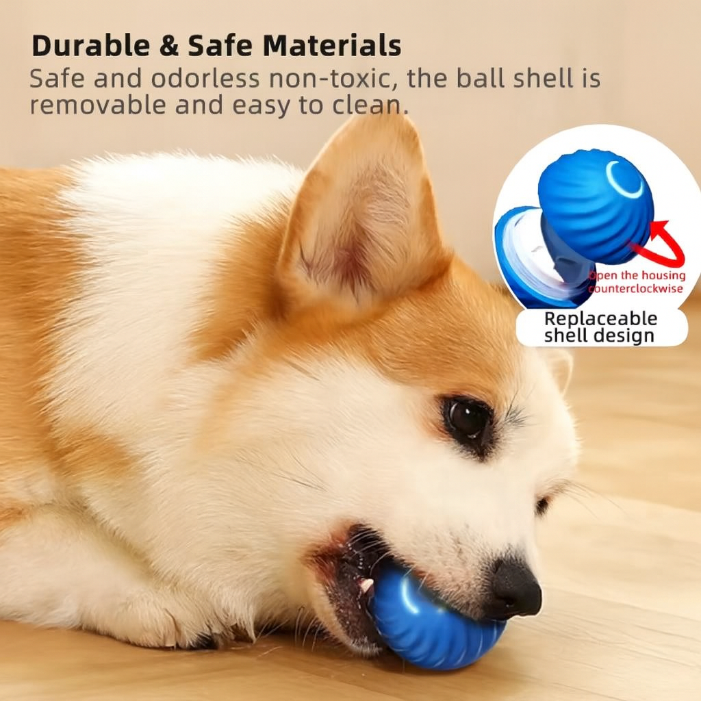 The Ball That Plays Back™